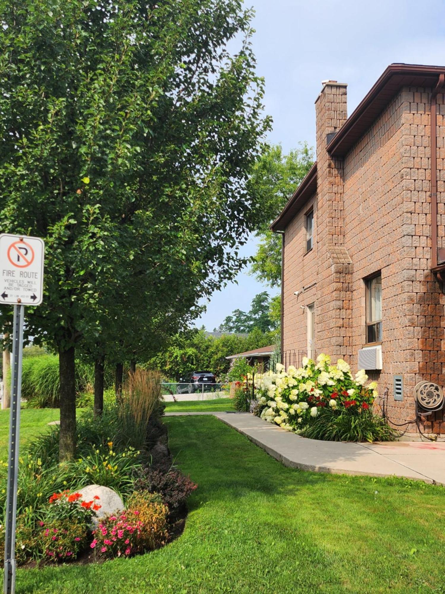 Canadas Best Value Inn-Richmond Hill Buitenkant foto